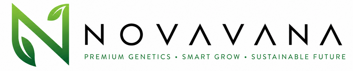 NOVAVANA
